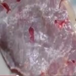 Pulsating frankenstein Meat