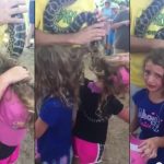 Identical Twins Get Large Snake Tangled in Hair