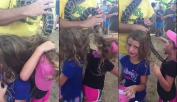 Identical Twins Get Large Snake Tangled in Hair