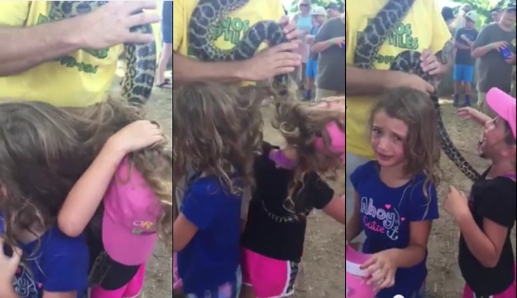 Huge Snake Gets Tangled On Hair of Twins