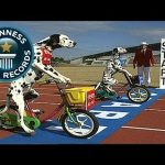 dogs-riding-kiddie-bikes