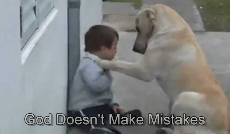 Dog Befriends Boy with Down Syndrome