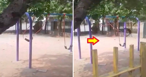Swing Moves by Itself in Empty Playground, Leaves Netizens Terrified